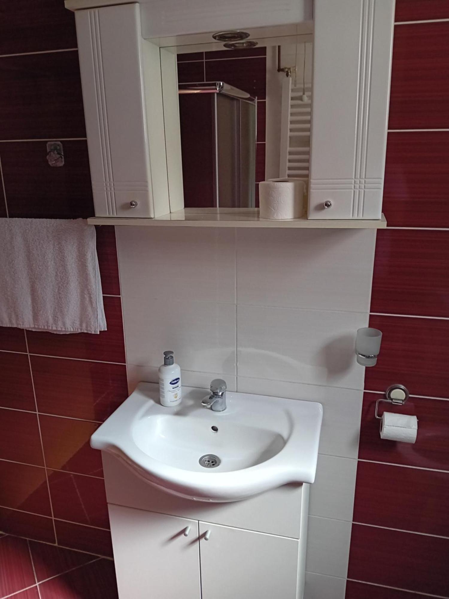 Apartmani Nikolic วิเชกราด ภายนอก รูปภาพ