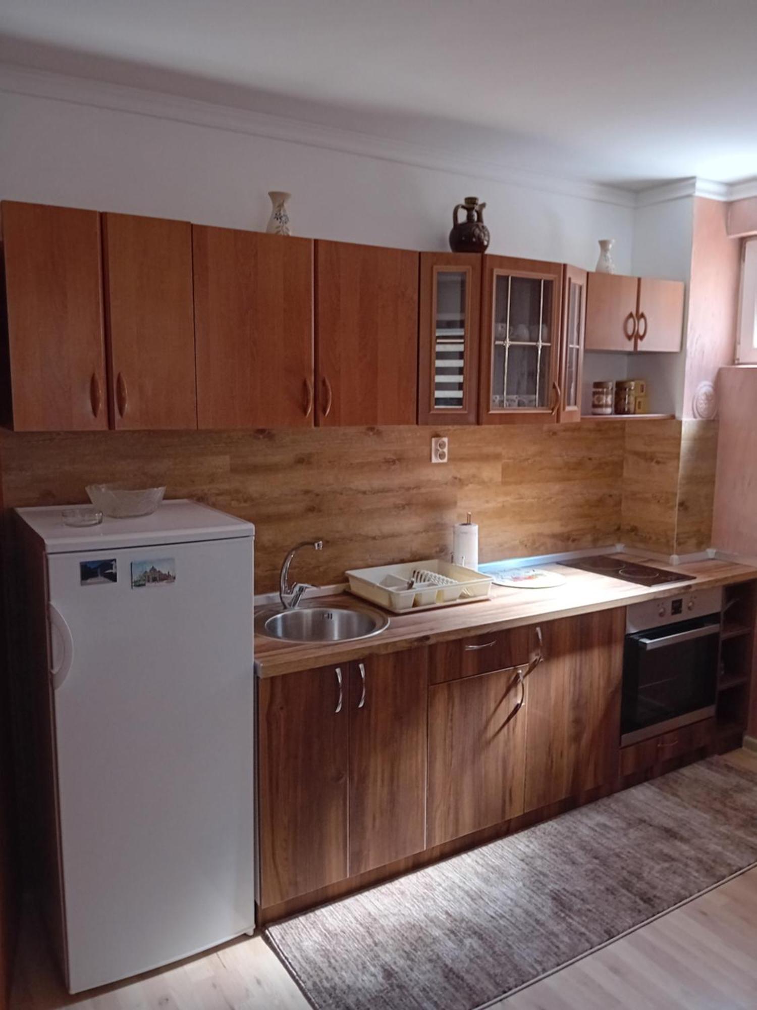 Apartmani Nikolic วิเชกราด ภายนอก รูปภาพ