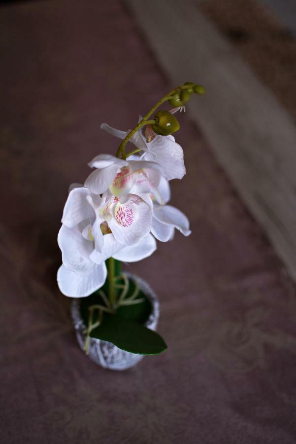 Apartmani Nikolic วิเชกราด ภายนอก รูปภาพ