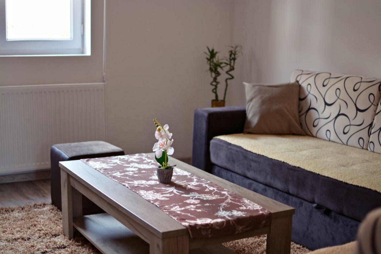 Apartmani Nikolic วิเชกราด ภายนอก รูปภาพ