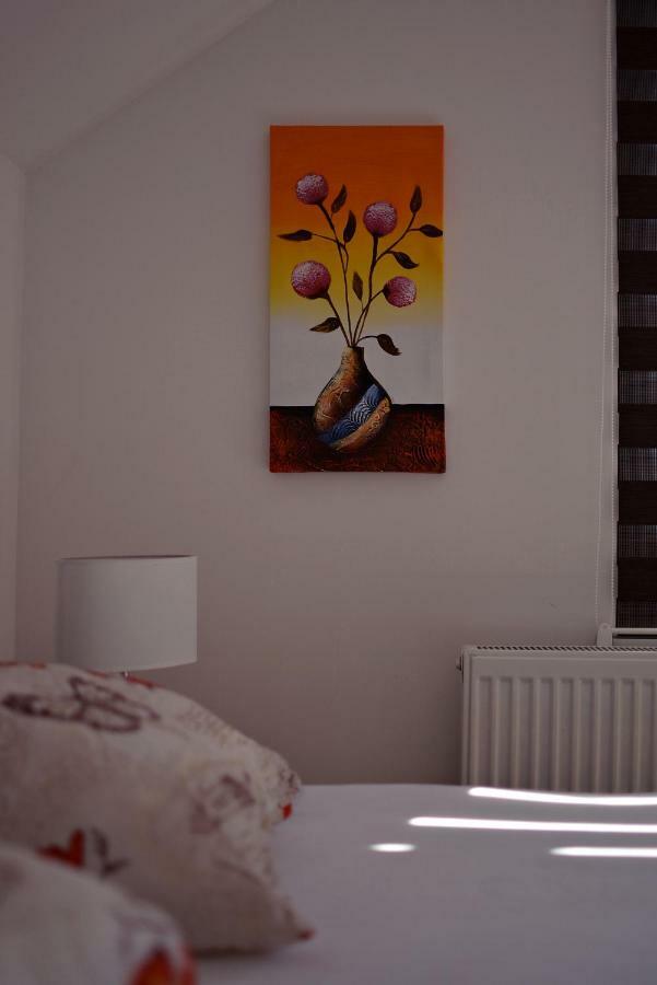 Apartmani Nikolic วิเชกราด ภายนอก รูปภาพ